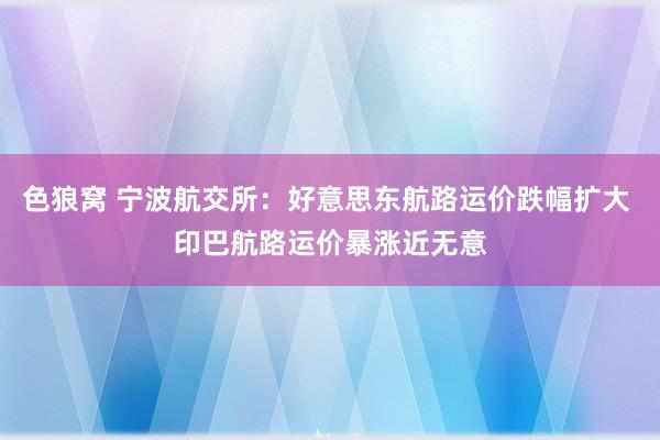 色狼窝 宁波航交所：好意思东航路运价跌幅扩大 印巴航路运价暴涨近无意