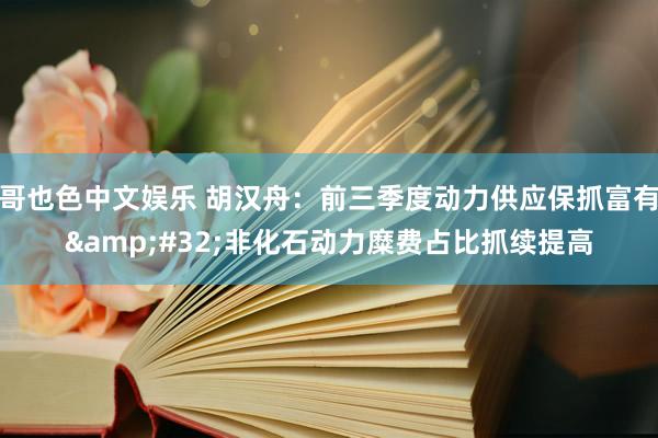 哥也色中文娱乐 胡汉舟：前三季度动力供应保抓富有&#32;非化石动力糜费占比抓续提高