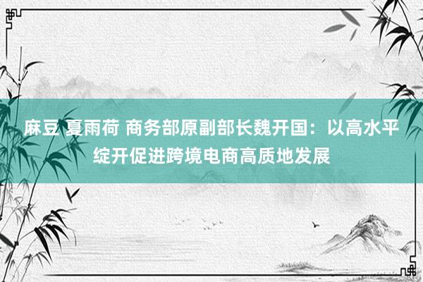 麻豆 夏雨荷 商务部原副部长魏开国：以高水平绽开促进跨境电商高质地发展