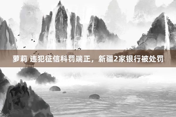 萝莉 违犯征信科罚端正，新疆2家银行被处罚