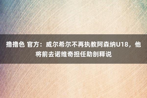 撸撸色 官方：威尔希尔不再执教阿森纳U18，他将前去诺维奇担任助剖释说