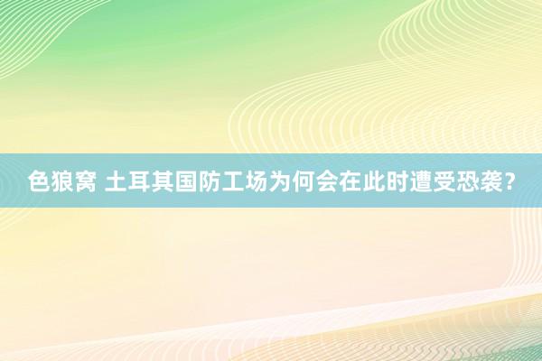 色狼窝 土耳其国防工场为何会在此时遭受恐袭？