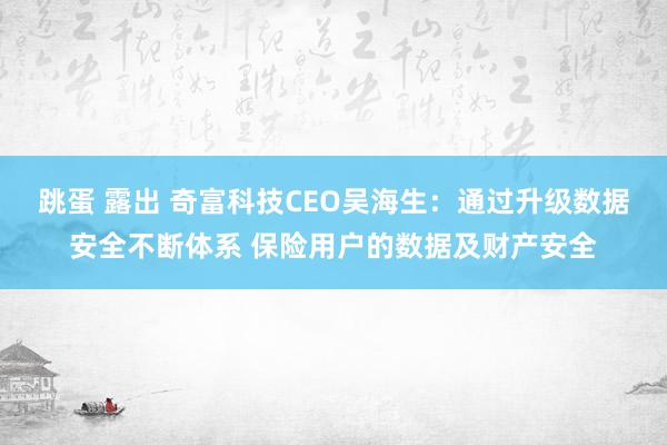 跳蛋 露出 奇富科技CEO吴海生：通过升级数据安全不断体系 保险用户的数据及财产安全