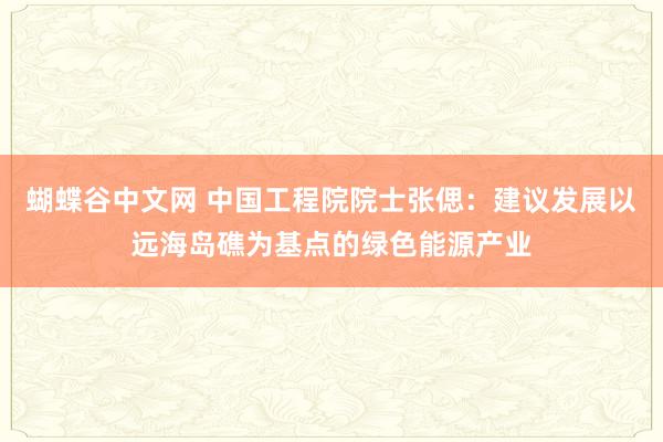 蝴蝶谷中文网 中国工程院院士张偲：建议发展以远海岛礁为基点的绿色能源产业