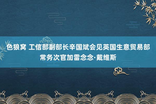 色狼窝 工信部副部长辛国斌会见英国生意贸易部常务次官加雷念念·戴维斯