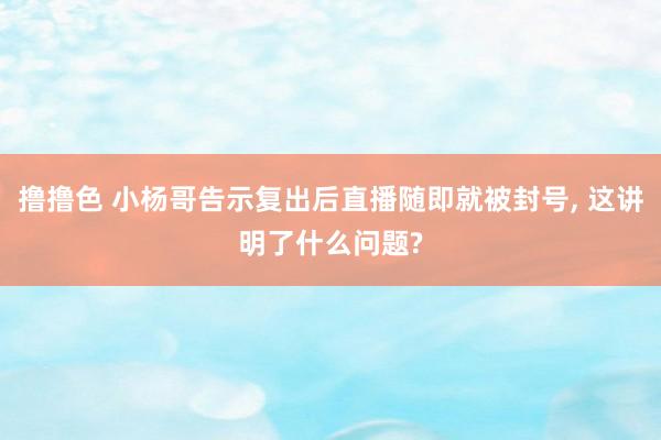 撸撸色 小杨哥告示复出后直播随即就被封号， 这讲明了什么问题?