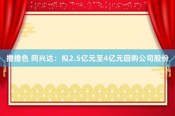 撸撸色 同兴达：拟2.5亿元至4亿元回购公司股份