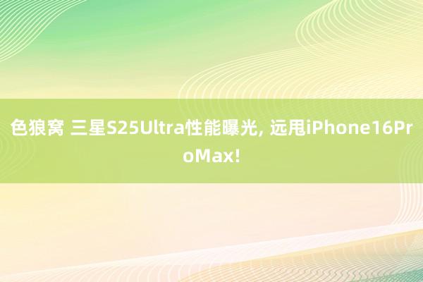 色狼窝 三星S25Ultra性能曝光, 远甩iPhone16