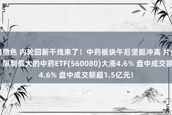 撸撸色 内轮回新干线来了！中药板块午后坚挺冲高 片仔癀涨超4