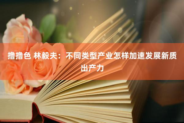 撸撸色 林毅夫：不同类型产业怎样加速发展新质出产力