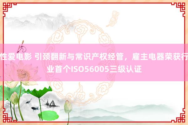 性爱电影 引颈翻新与常识产权经管，雇主电器荣获行业首个ISO56005三级认证