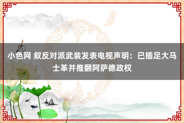 小色网 叙反对派武装发表电视声明：已插足大马士革并推翻阿萨德政权