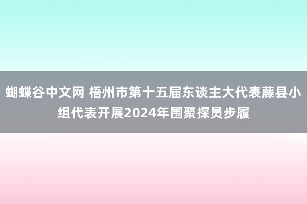 蝴蝶谷中文网 梧州市第十五届东谈主大代表藤县小组代表开展2024年围聚探员步履