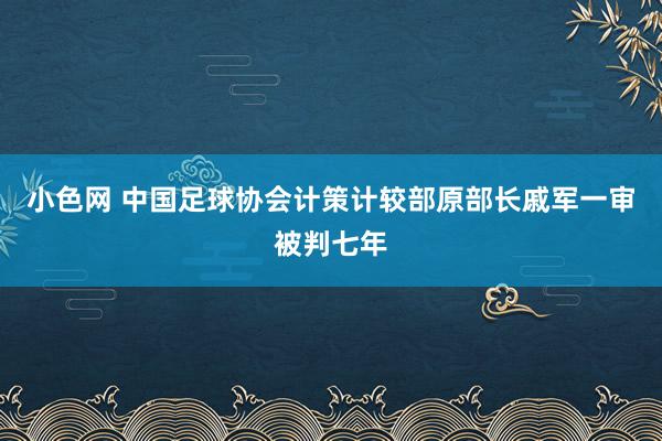 小色网 中国足球协会计策计较部原部长戚军一审被判七年