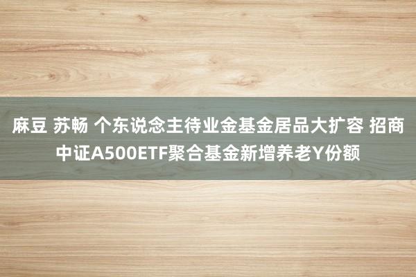 麻豆 苏畅 个东说念主待业金基金居品大扩容 招商中证A500ETF聚合基金新增养老Y份额