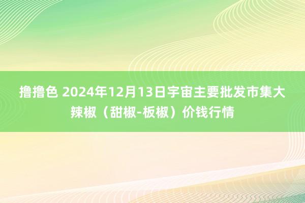 撸撸色 2024年12月13日宇宙主要批发市集大辣椒（甜椒-板椒）价钱行情