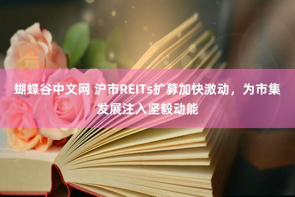 蝴蝶谷中文网 沪市REITs扩募加快激动，为市集发展注入坚毅动能