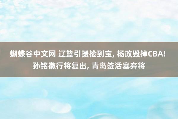 蝴蝶谷中文网 辽篮引援捡到宝， 杨政毁掉CBA! 孙铭徽行将复出， 青岛签活塞弃将