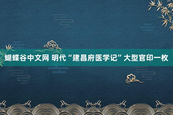 蝴蝶谷中文网 明代“建昌府医学记”大型官印一枚