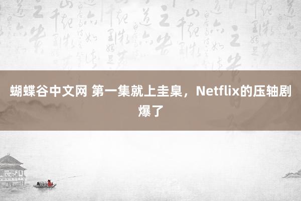 蝴蝶谷中文网 第一集就上圭臬，Netflix的压轴剧爆了