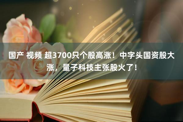 国产 视频 超3700只个股高涨！中字头国资股大涨，量子科技主张股火了！