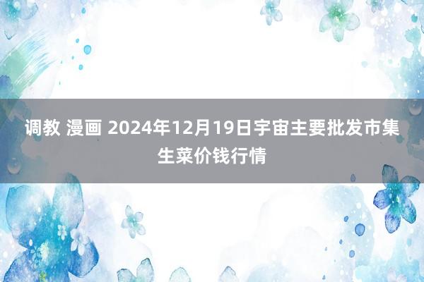 调教 漫画 2024年12月19日宇宙主要批发市集生菜价钱行情