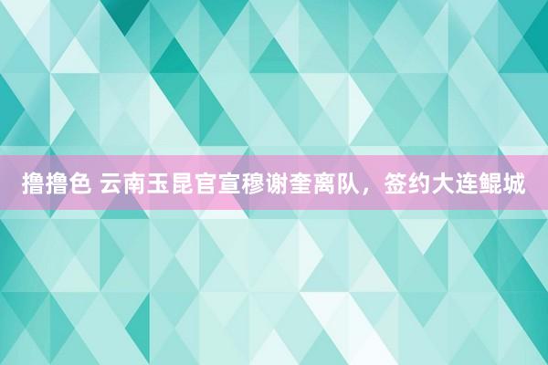 撸撸色 云南玉昆官宣穆谢奎离队，签约大连鲲城