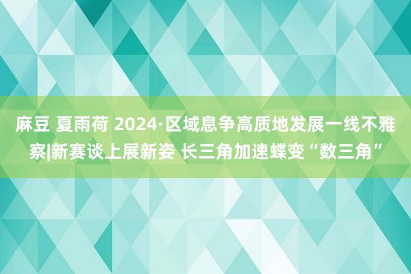 麻豆 夏雨荷 2024·区域息争高质地发展一线不雅察|新赛谈