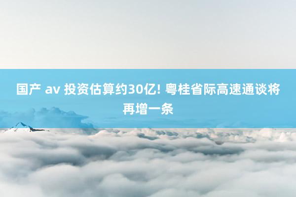 国产 av 投资估算约30亿! 粤桂省际高速通谈将再增一条