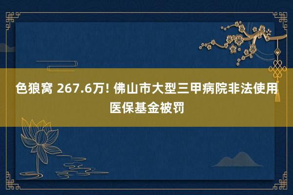 色狼窝 267.6万! 佛山市大型三甲病院非法使用医保基金被