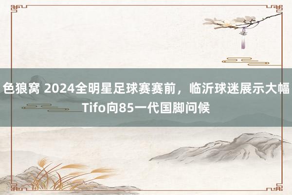 色狼窝 2024全明星足球赛赛前，临沂球迷展示大幅Tifo向