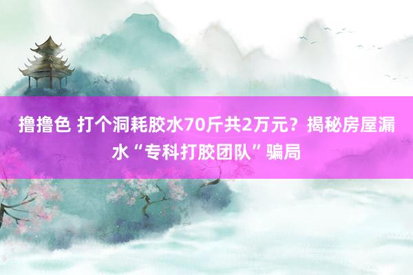 撸撸色 打个洞耗胶水70斤共2万元？揭秘房屋漏水“专科打胶团