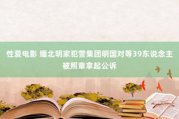 性爱电影 缅北明家犯警集团明国对等39东说念主被照章拿起公诉