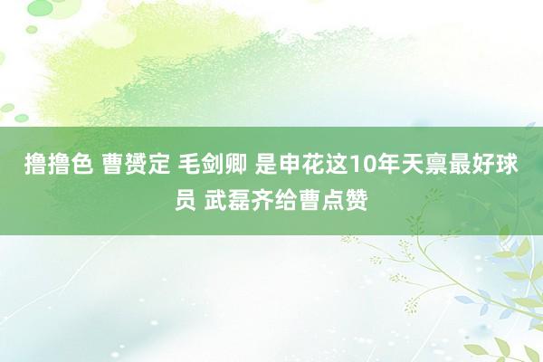 撸撸色 曹赟定 毛剑卿 是申花这10年天禀最好球员 武磊齐给