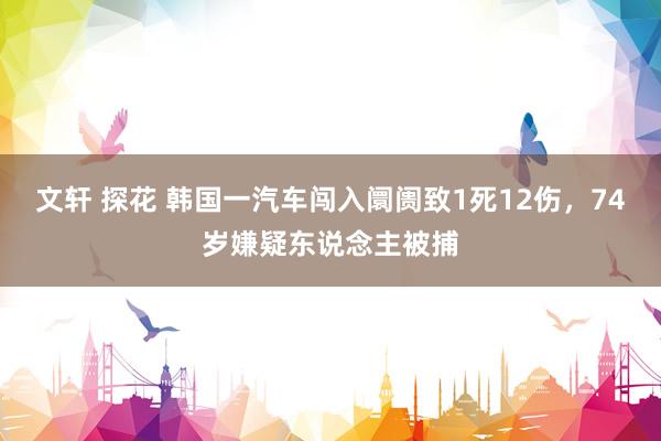 文轩 探花 韩国一汽车闯入阛阓致1死12伤，74岁嫌疑东说念主被捕