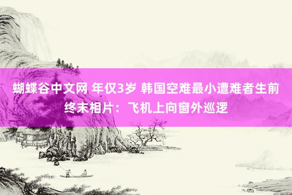 蝴蝶谷中文网 年仅3岁 韩国空难最小遭难者生前终末相片：飞机上向窗外巡逻