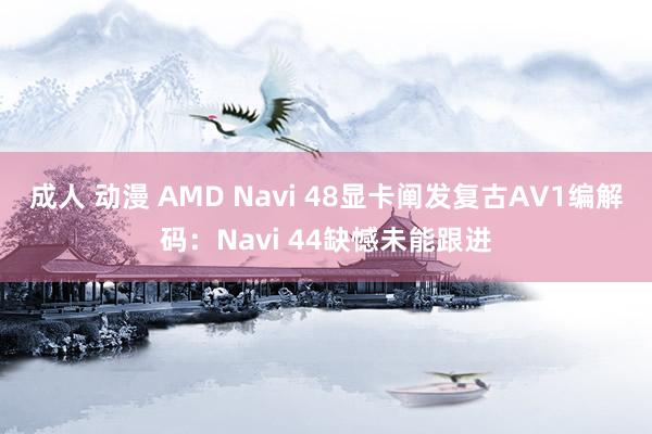 成人 动漫 AMD Navi 48显卡阐发复古AV1编解码：Navi 44缺憾未能跟进