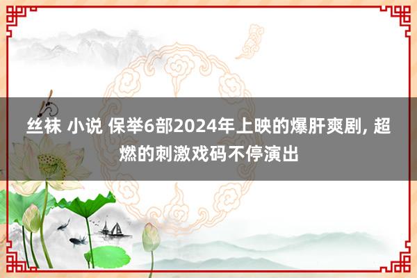 丝袜 小说 保举6部2024年上映的爆肝爽剧, 超燃的刺激戏