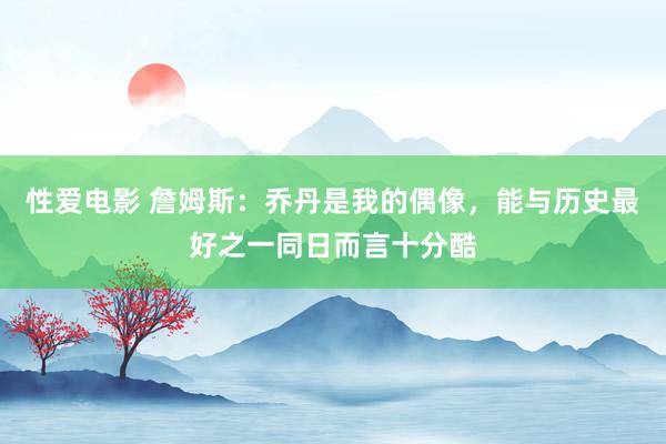 性爱电影 詹姆斯：乔丹是我的偶像，能与历史最好之一同日而言十分酷