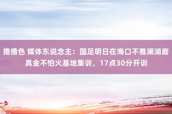 撸撸色 媒体东说念主：国足明日在海口不雅澜湖磨真金不怕火基地