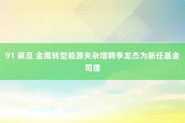 91 麻豆 金鹰转型能源夹杂增聘李龙杰为新任基金司理