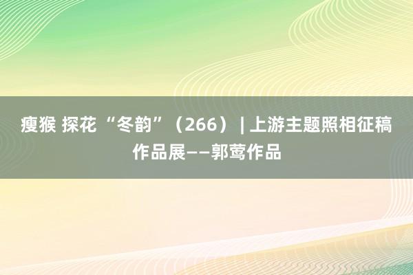 瘦猴 探花 “冬韵”（266） | 上游主题照相征稿作品展——郭莺作品