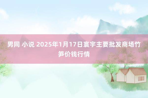 男同 小说 2025年1月17日寰宇主要批发商场竹笋价钱行情