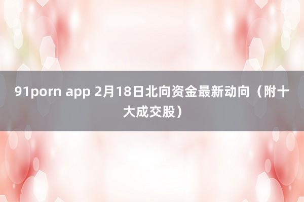 91porn app 2月18日北向资金最新动向（附十大成交