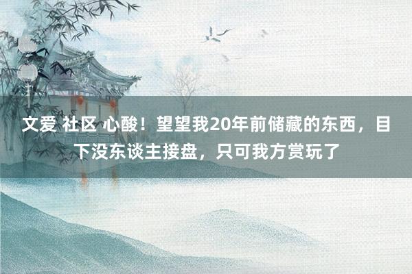 文爱 社区 心酸！望望我20年前储藏的东西，目下没东谈主接盘