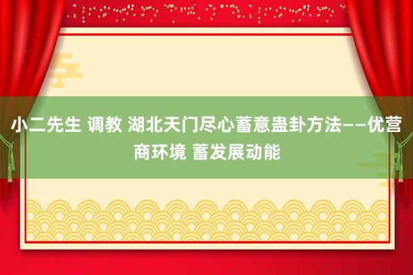 小二先生 调教 湖北天门尽心蓄意蛊卦方法——优营商环境 蓄发展动能