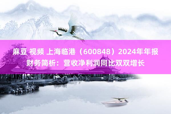 麻豆 视频 上海临港（600848）2024年年报财务简析：营收净利润同比双双增长