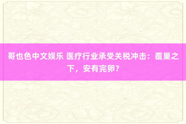 哥也色中文娱乐 医疗行业承受关税冲击：覆巢之下，安有完卵？