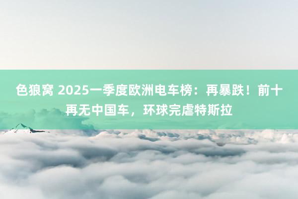 色狼窝 2025一季度欧洲电车榜：再暴跌！前十再无中国车，环