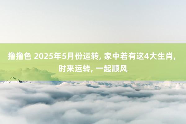 撸撸色 2025年5月份运转, 家中若有这4大生肖, 时来运